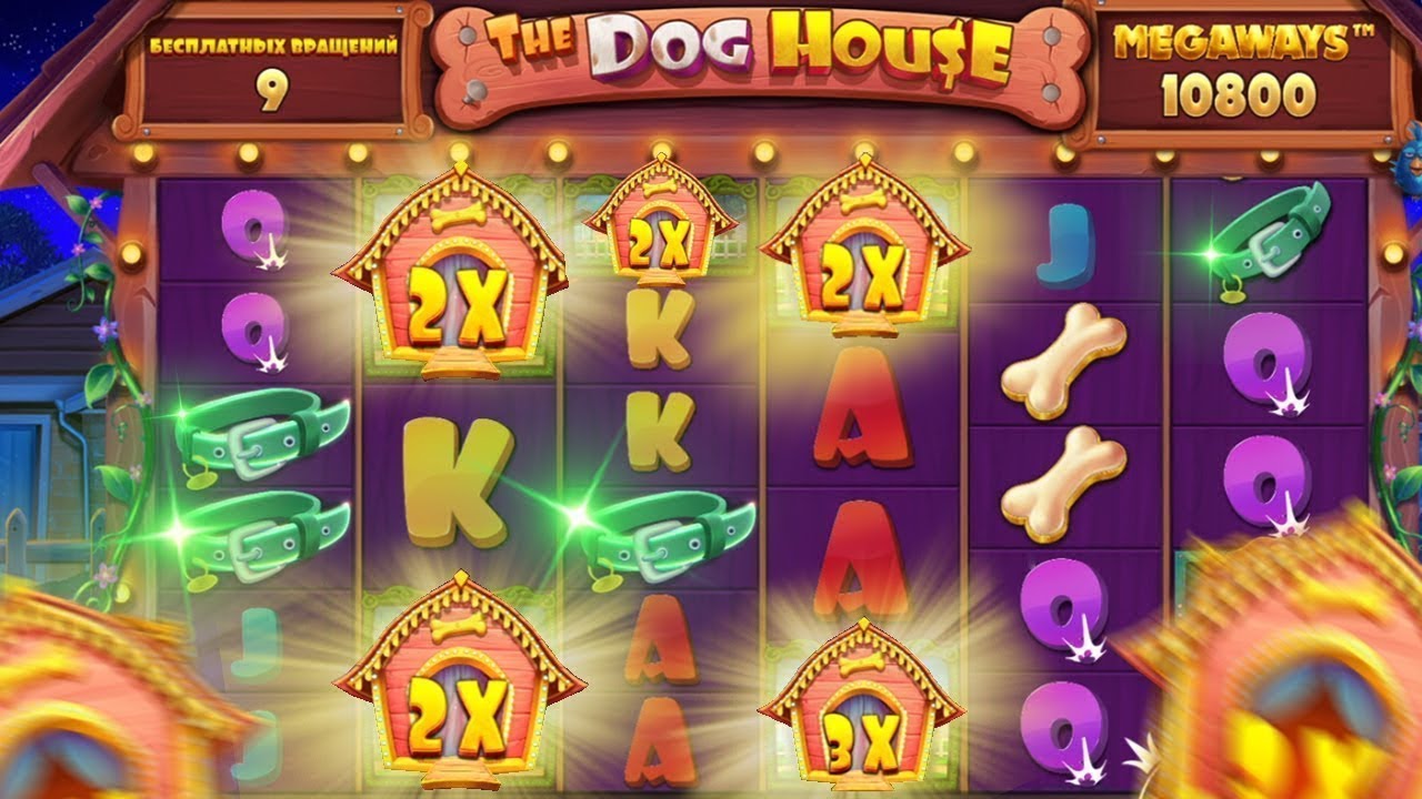 Dog house megaways догхаус