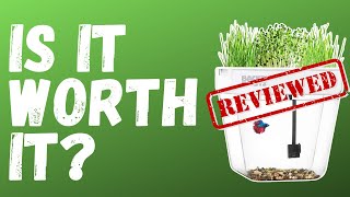 My HONEST opinion after using the Back to Roots Aquaponics fish tank for 2 months