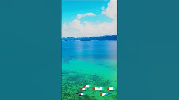 سورة التوبة و؛؛كا،،نك تسمعها لأ،،و..ل مر.ة ❣️💮.🏵️.💐💞؛؛🌸💚بصوت الشيخ حمزة مد بو.ح 💝،،🌼💙،.💓🥀؛؛💟،💘