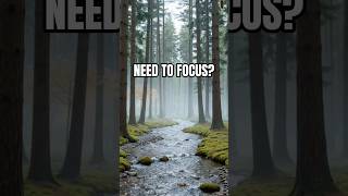 Need to focus? 🌲🎧 #lofi #study #focus