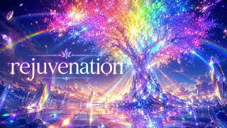 【rejuvenation】『Prismatic Bloom』|Official Visualizer
