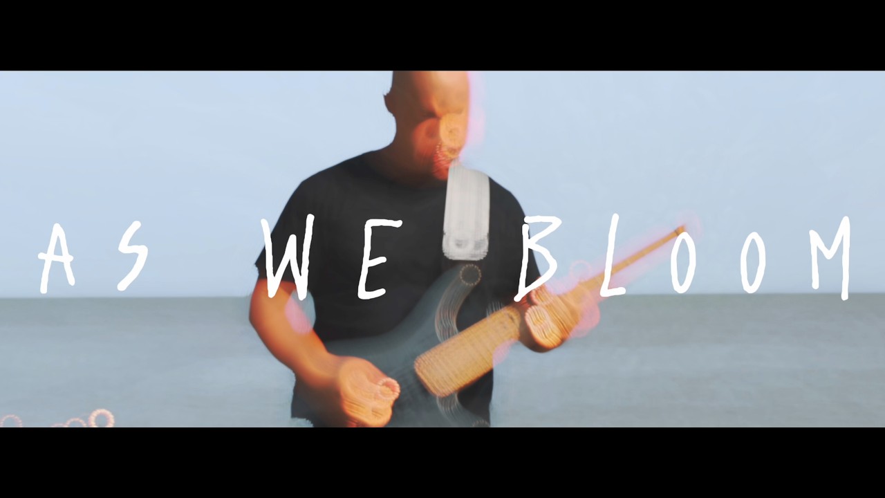 Dnyl Crso - “As We Bloom” (guitar playthrough) - YouTube