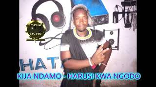 KIJA NDAMO - HARUSI KWA NGODO BY LWENGE STUDIO