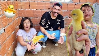 7 Ci̇vci̇ve Bi̇r Gün Boyunca Baktik Vlog