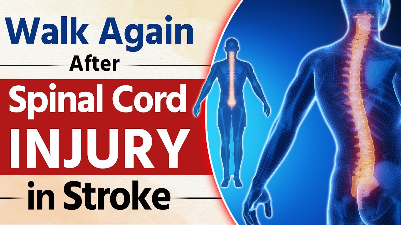 walk-again-after-spinal-cord-injury-in-stroke-recover-spinal-cord