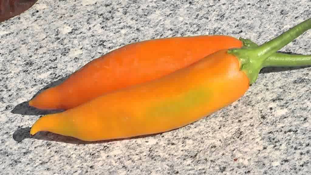 cayenne paprika fogyókúra 2018