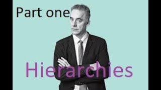 Jordan Peterson - 3 issues I have sir. Part one - hierarchies