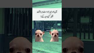 Me and my Friend #funny #viral #viralvideo #viralshorts #2026memes #memes #friends #viralreels #song