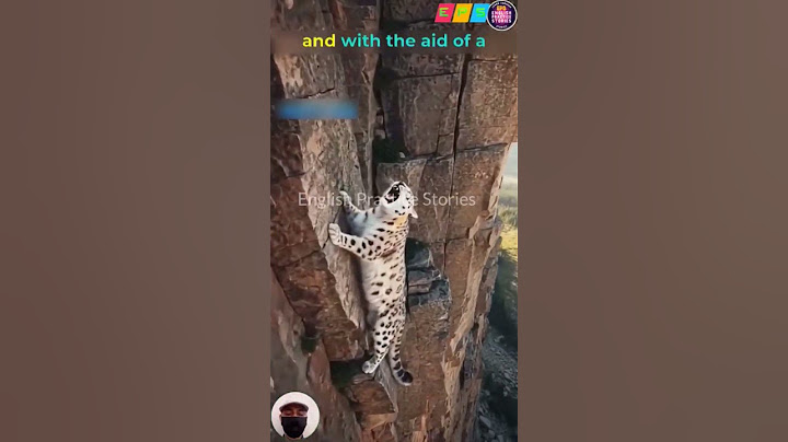 Baby Leopard’s Instinct Saves His Mother | True Animal Rescue Story