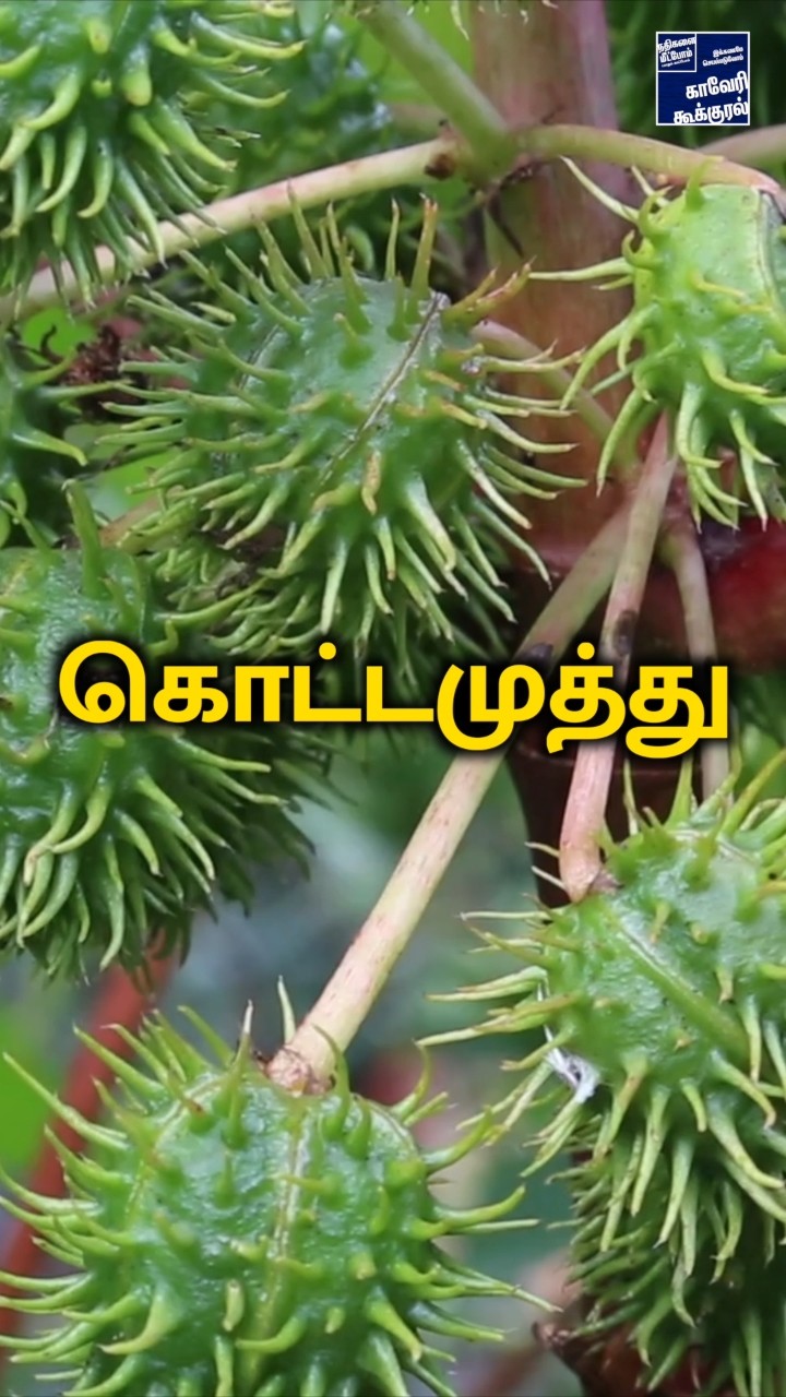 🌱 இயற்கை மருத்துவம் - ShareChat