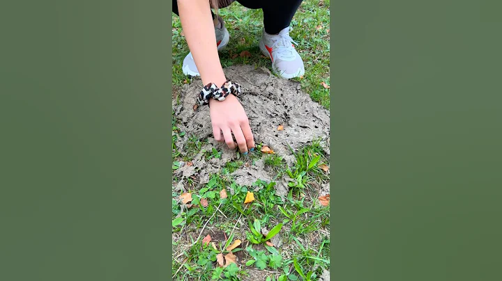 Shock!! 😱GIRL uses cow POOP! 🐄💩 #camping #bushcraft #survival #lifehacks