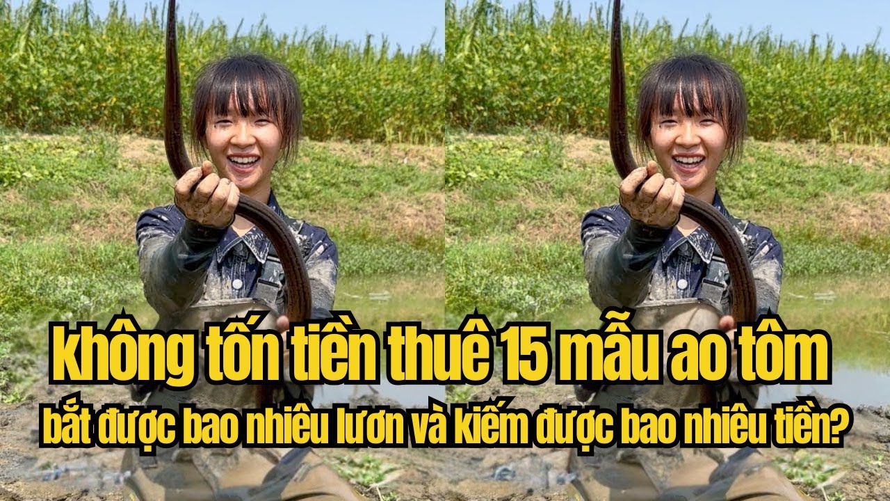 Chủ Ao Cho Không Ao Tôm 1 HECTA Với Lời Hứa 