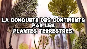 Quand sont apparues les premières plantes terrestres ?