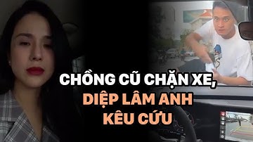 Diệp Lâm Anh bị chồng cũ chặn xe trước trường con gái lớn