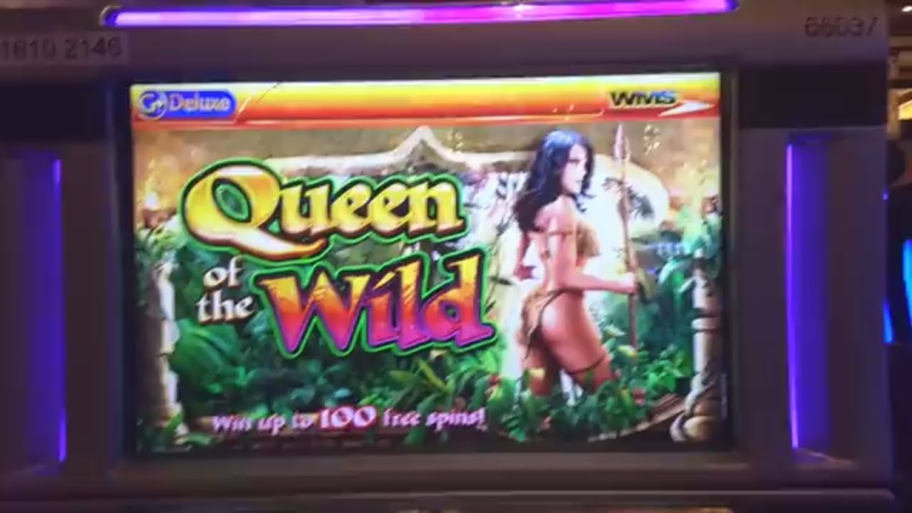 QUEEN OF THE WILD SLOT MACHINE: BONUS HITS bonus enhanced note