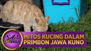 Mitos Kucing Dalam Primbon Jawa Kuno - Seleb On News