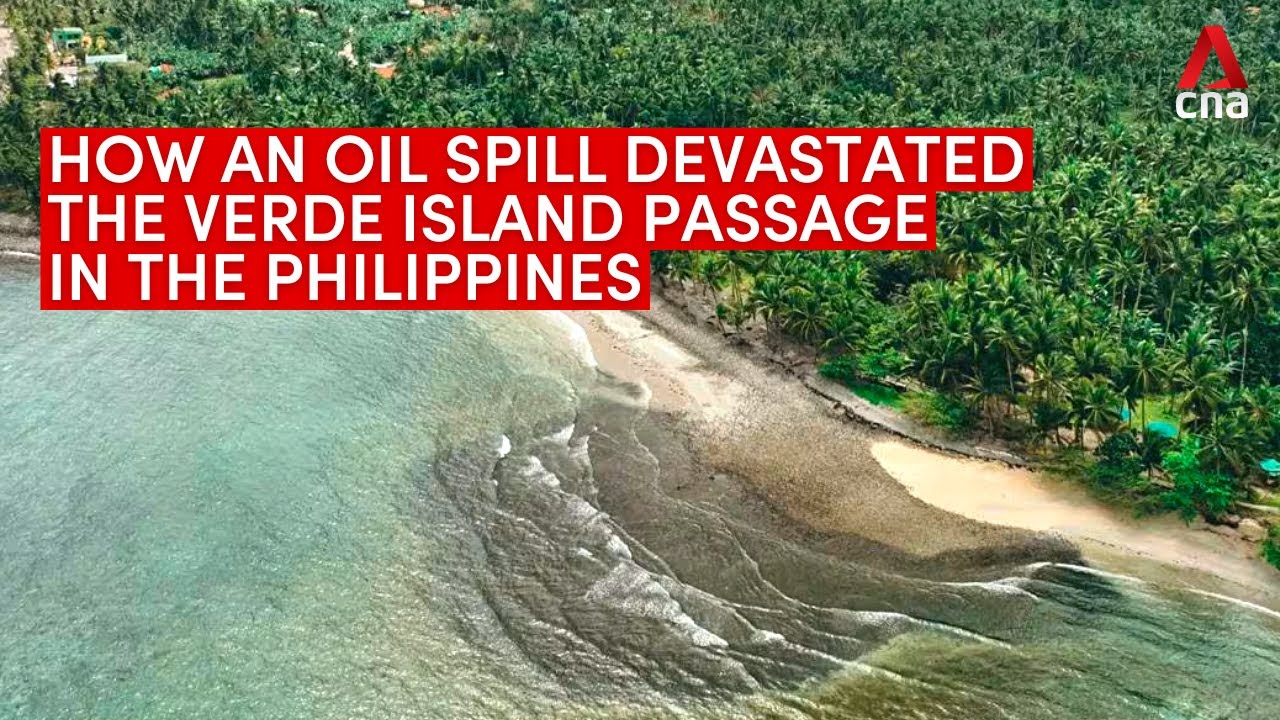 How a tanker oil spill devastated the Verde Island Passage in the