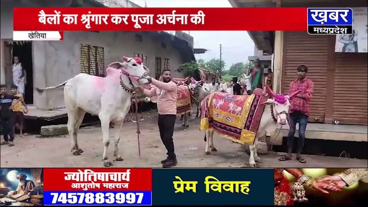 खेतिया में धूमधाम से मनाया गया पोला का त्यौहार, बैलों का श्रृंगार कर पूजा अर्चना की