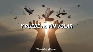 NINO BRAVO - LIBRE // LETRA