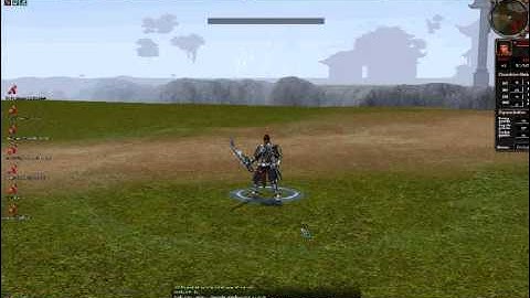 Metin2 Mental-Krieger P-Skills