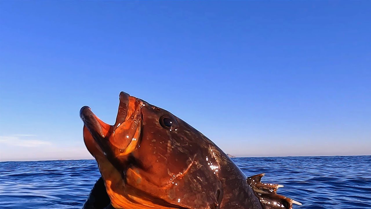 Ρηχό & βαθύ ψαροντούφεκο στα κρυστάλλινα νερά της Κρήτης- Deep & shallow spearfishing in Crete!