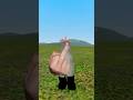 Silly turkey meme #shortvideo
