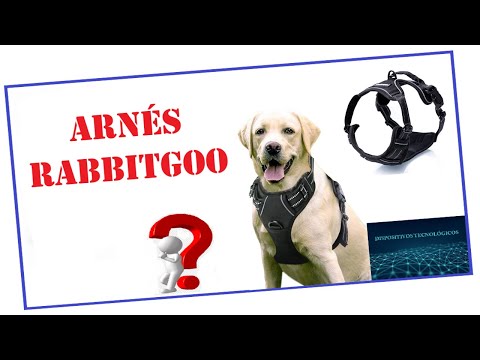 🎬 Video relacionado con arnés para perros