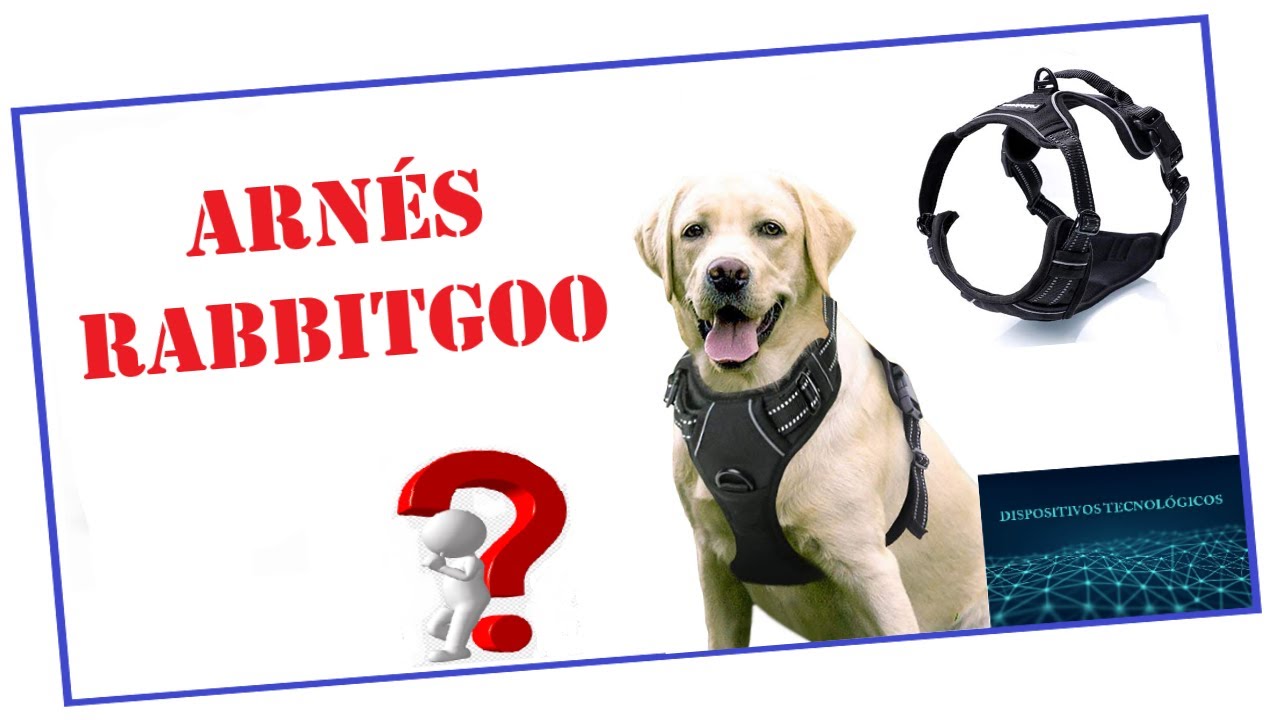 🐕 Descubre el ARNÉS para PERROS RABBITGOO | AMAZON 🐶👍