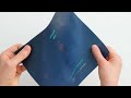 Shampoo label with foil and spot varnish