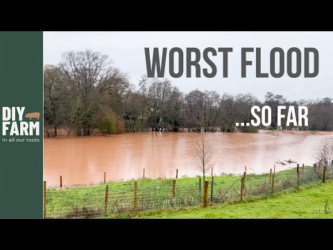 WORST SO FAR - Almost half the farm under water!
