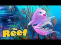THE REEF - Welcome to the Reef 