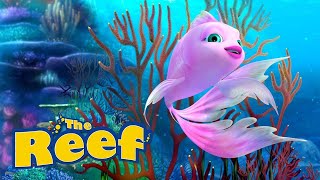 THE REEF - Welcome to the Reef...