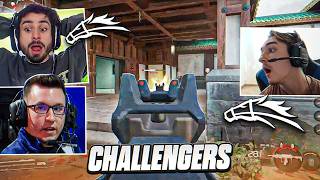 ZooMaa &amp; Aches REACT to The STALLIONS Challengers ELITE PLAYOFFS!