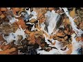 All That Jazz (Acrylic Fluid Art / Acrylic Pouring)