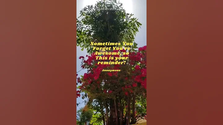 Sometimes You Forget You're Awesome, so this is your reminder. Aonymous