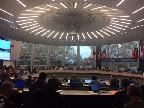 ტორბიორნ იაგლანდის მე-14 კონსოლიდირებული ანგარიში - „კონფლიქტი საქართველოში“