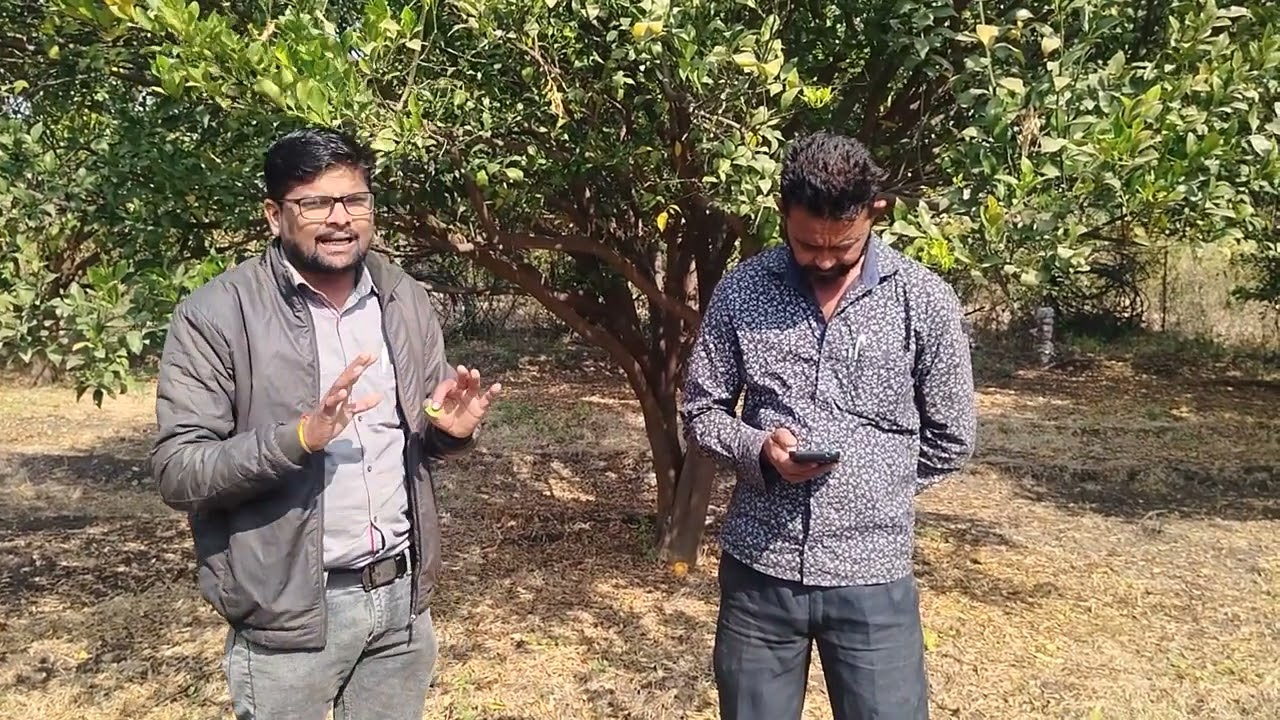 अंबिया बहार फूट व्यवस्थापन आणि पुढील नियोजन 9623934537