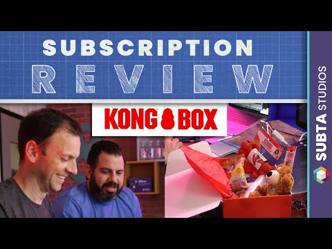Subscription Review - KONG Box