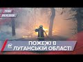 Про головне за 17:00: Наслідки пожеж на Луганщині