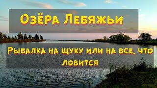 Рыбалка на Лебяжьих озерах / Рыбалка на фидер ловим карася, чебака, леща / Рыбалка на щуку и окуня