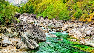 Experience raw Swiss nature at Verzasca River ?? Switzerland 4K