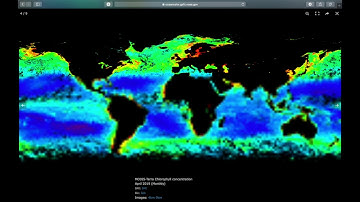 How to retrieve chlorophyll and sea surface temperature data