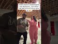 ADRIEN BRONER & DEAN THE GREAT DISSED JAZZ BUT I KNEW SHE HAD IT 🍑🔥#dsgachallenge #deanthegreat