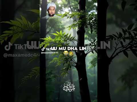 Ilahay Ayaa A Wood Lee Sub Xana Watacalaa 