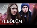 Kırgın Çiçekler 71. Bölüm - atv