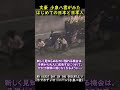 小泉八雲が来日初期に感じた日本と日本人　 #歴史 #history