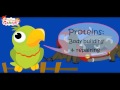 Nutrition and Food Pyramid Concepts