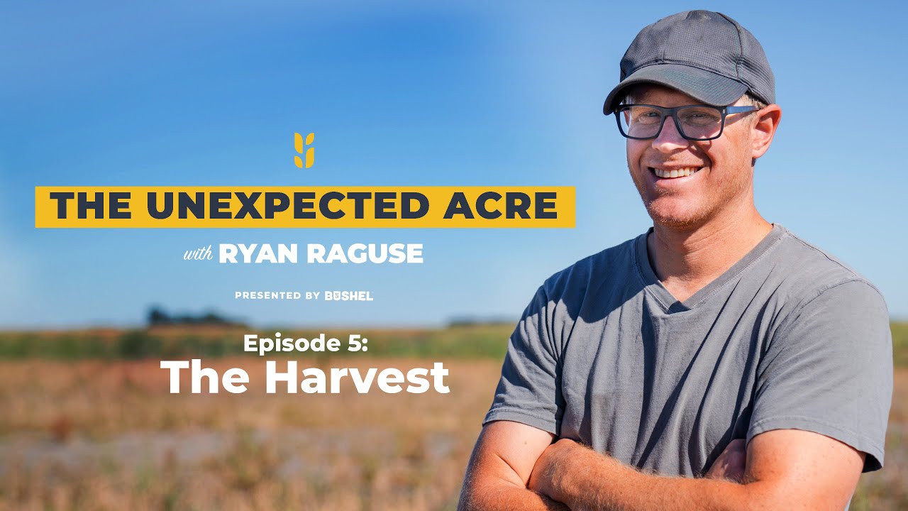 The Unexpected Acre Episode #5 - The Harvest - YouTube