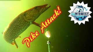 Northern Pike Attacks Underwater Camera