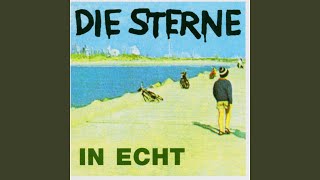Video thumbnail of "Die Sterne - Swinging safari"